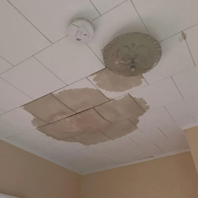 Ceiling Water Damage Repair in Moca, PR