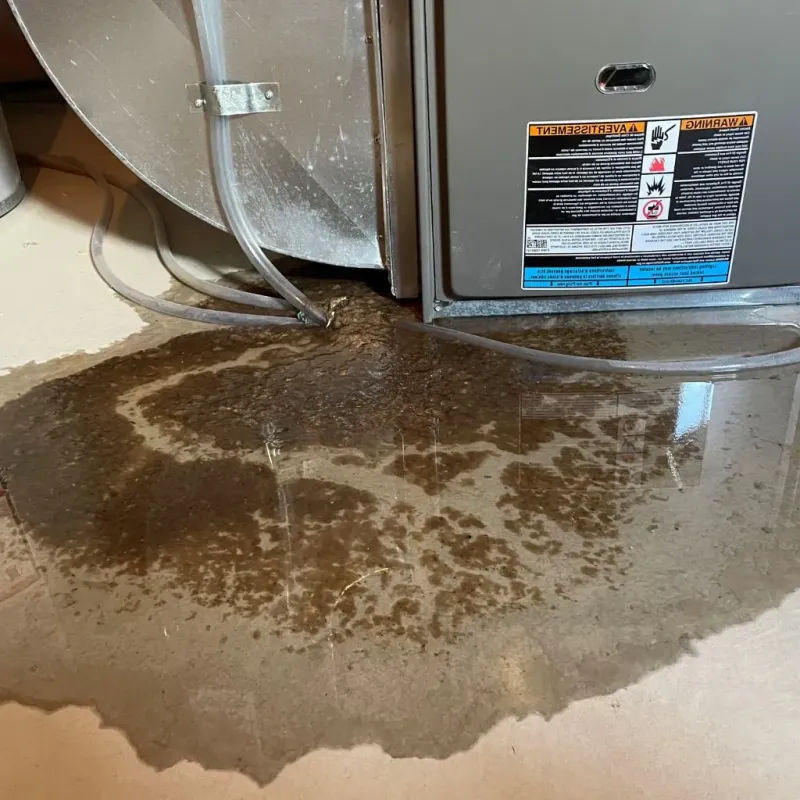 Pipe Burst and Leak Restoration in Moca, PR